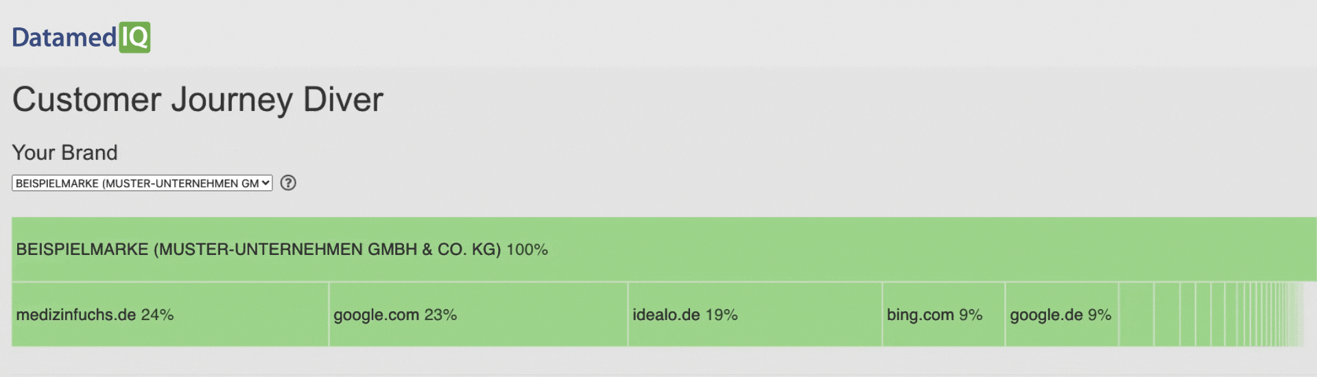 datamediq-customer-journey-demo